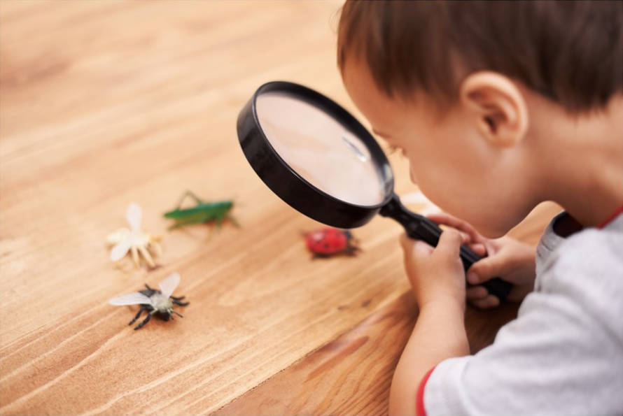 Child-with-magnifying-glass-loking-at-fake-insects