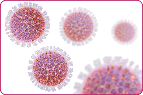 Hand foot and mouth image - viruses or bacteria