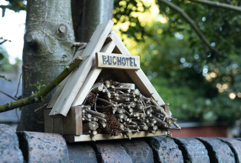 Engaging Minibeast Activities for EYFS – Early Years Learning Ideas ...