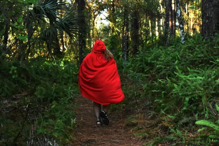 Red-Riding-Hood-image-Red-Riding-Hood-in-the-forest