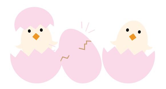 Social-media-audit-Image-3-Chicks-and-eggs