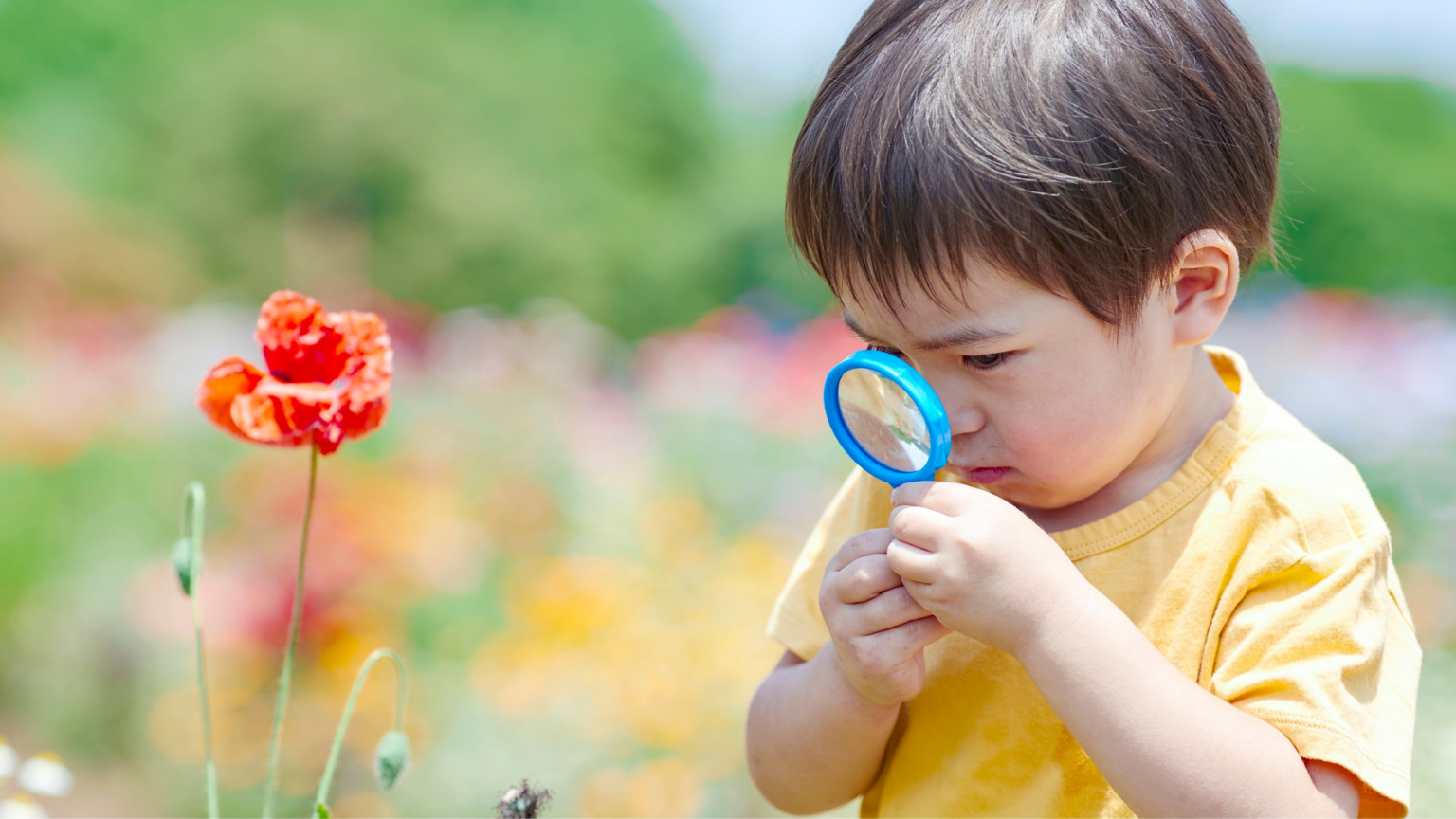 What to expect before and during your nursery Ofsted inspection - Ovivio